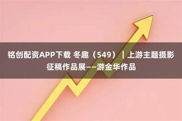 铭创配资APP下载 冬趣（549）｜上游主题摄影征稿作品展——游金华作品